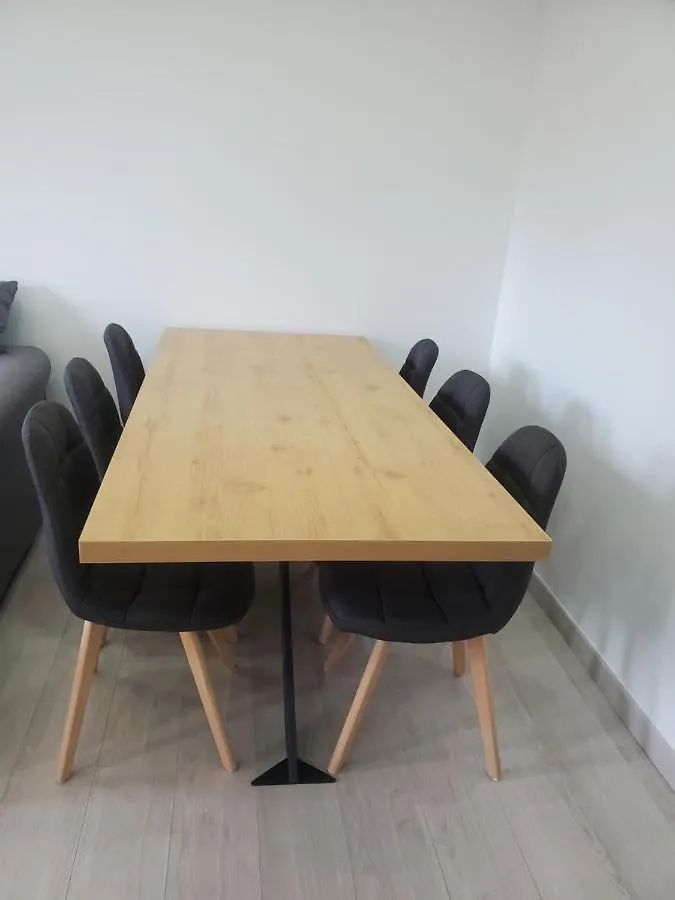 Appartement Meuble Aux Portes De Geneve Annemasse Apartment